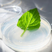 Crema para ojos Arocell Wrinkle Solution con aplicador galvánico
